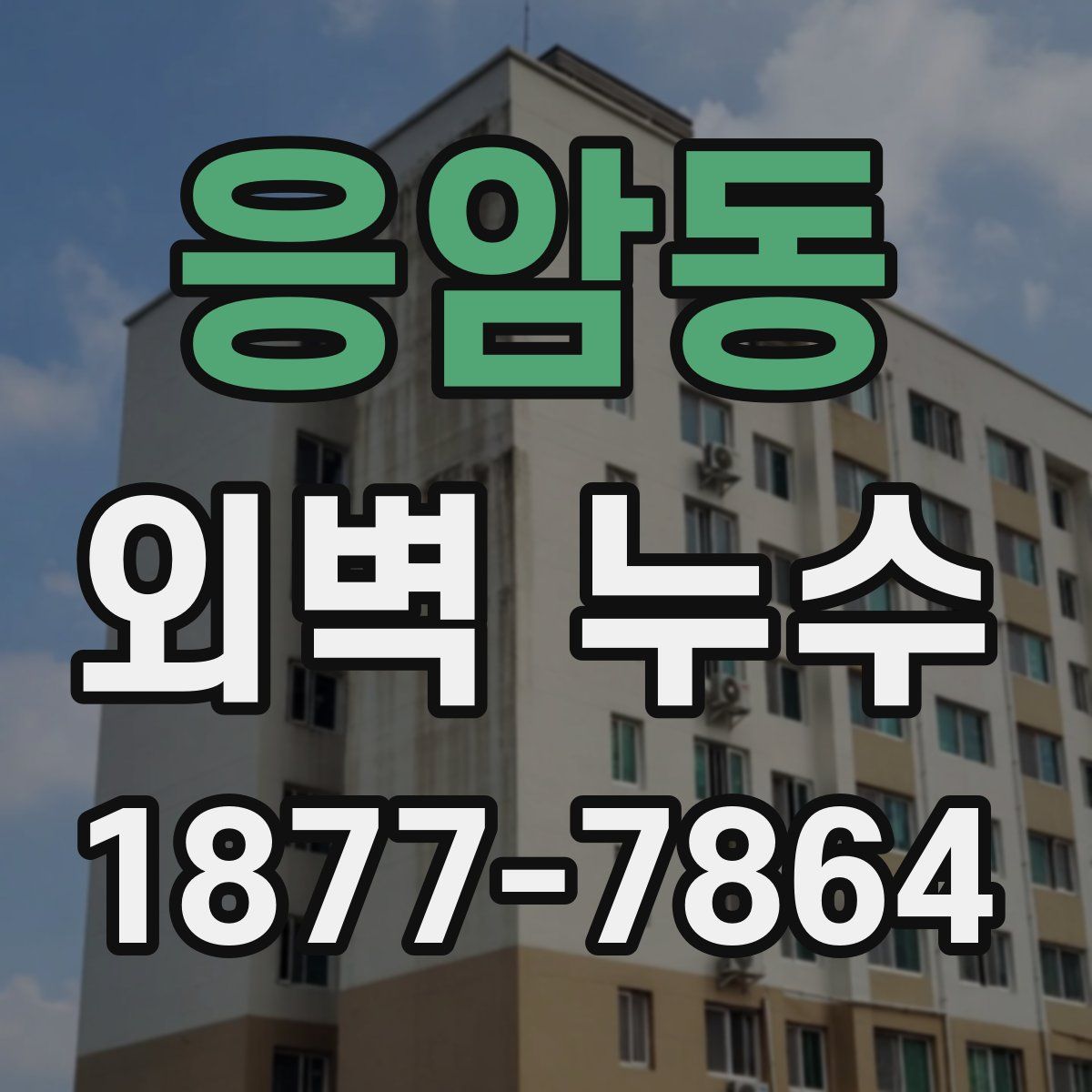 응암동 외벽 누수