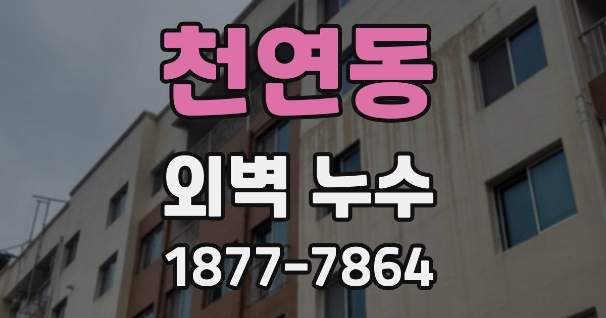 천연동 외벽 누수