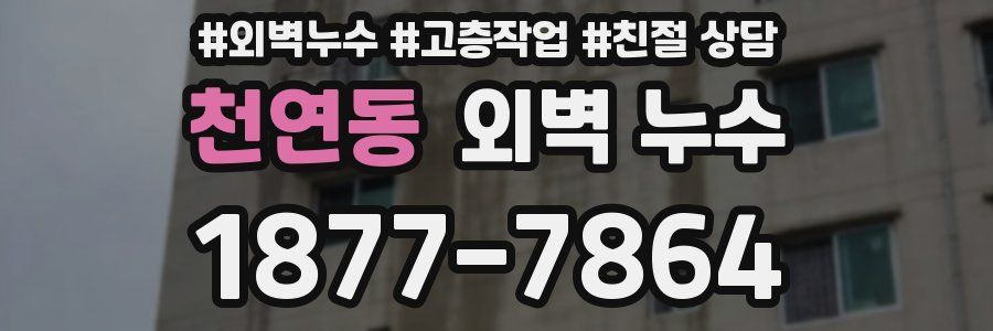 천연동 외벽 누수
