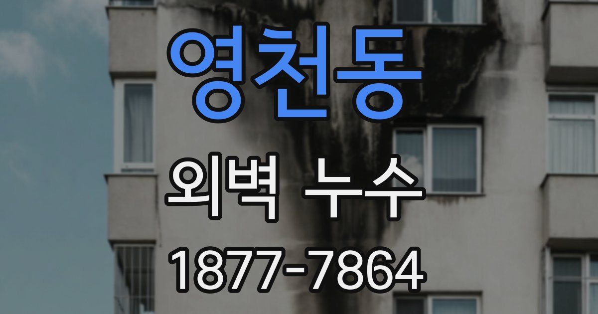 영천동 외벽 누수