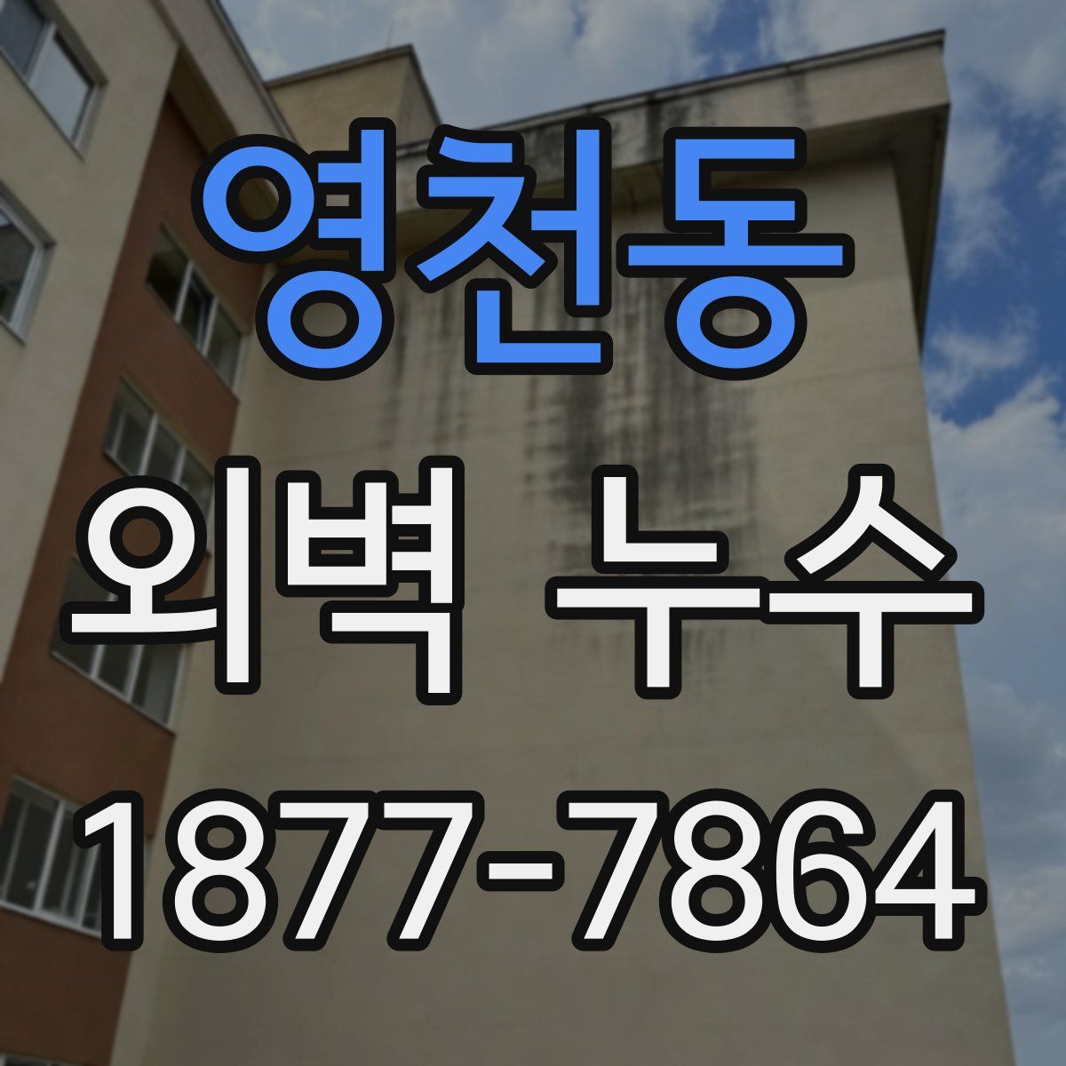 영천동 외벽 누수