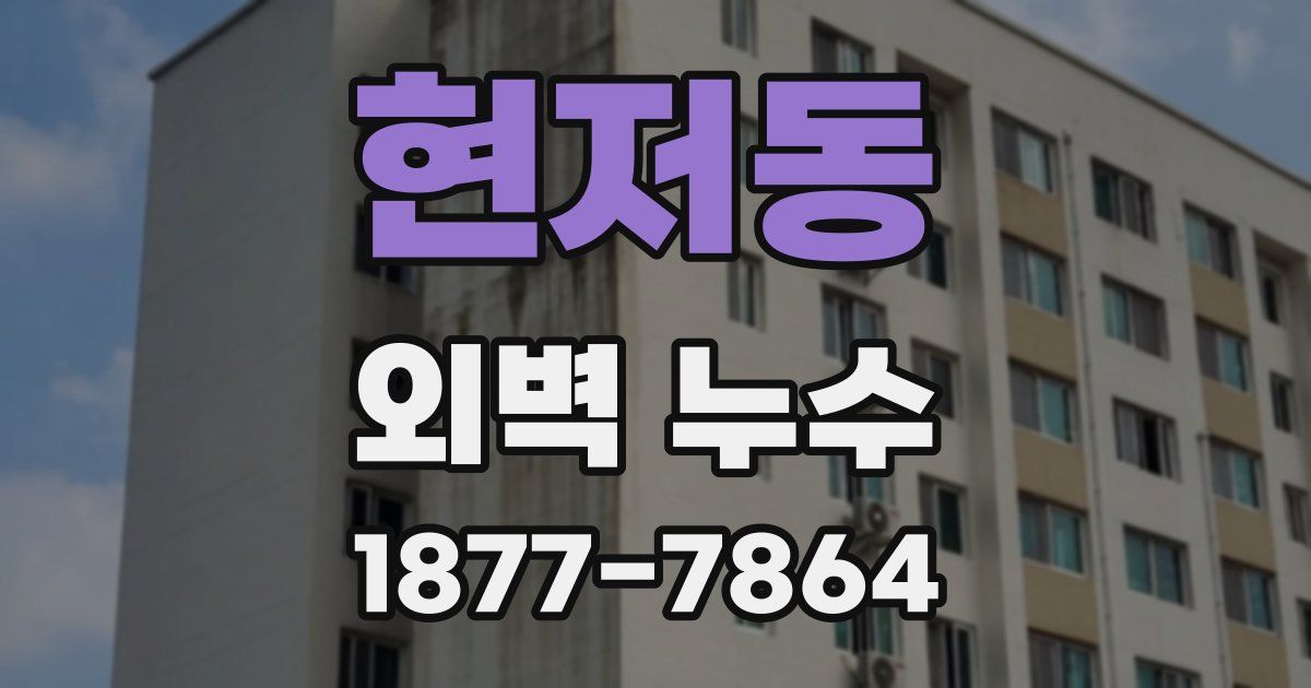 현저동 외벽 누수