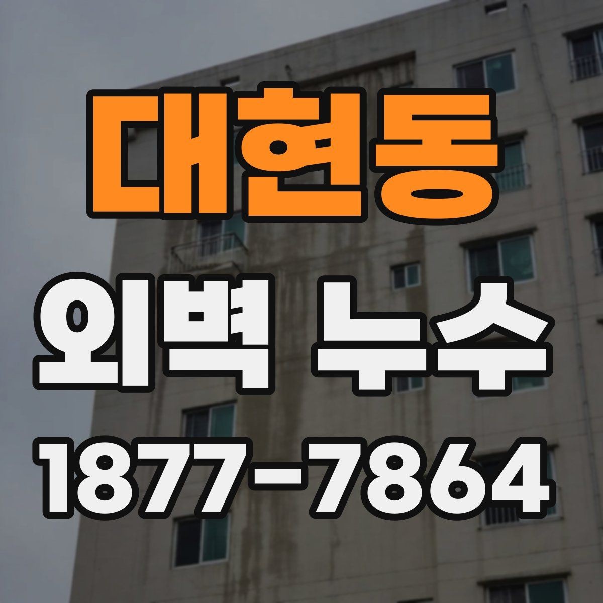 대현동 외벽 누수 확인 후 바로 할 일