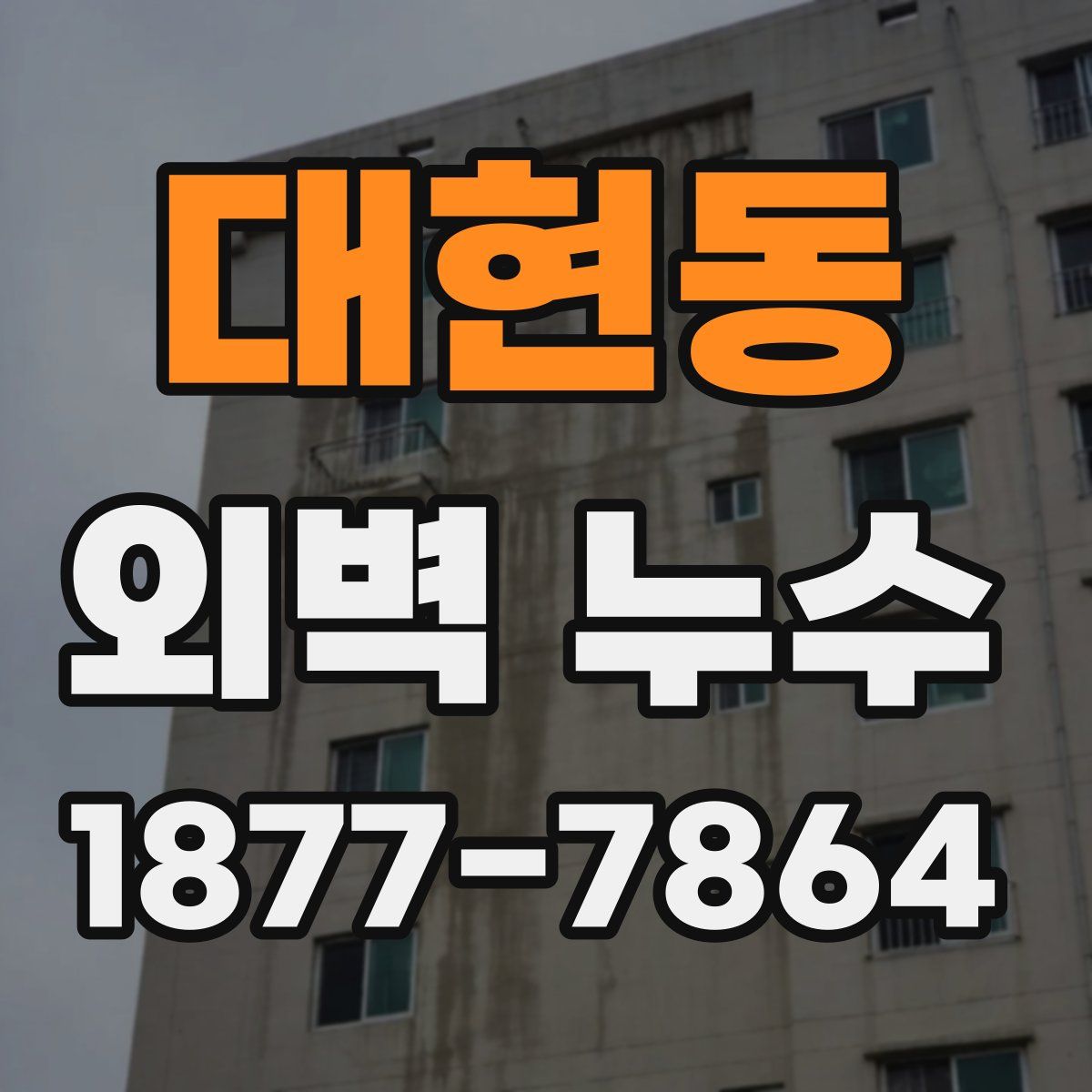 대현동 외벽 누수