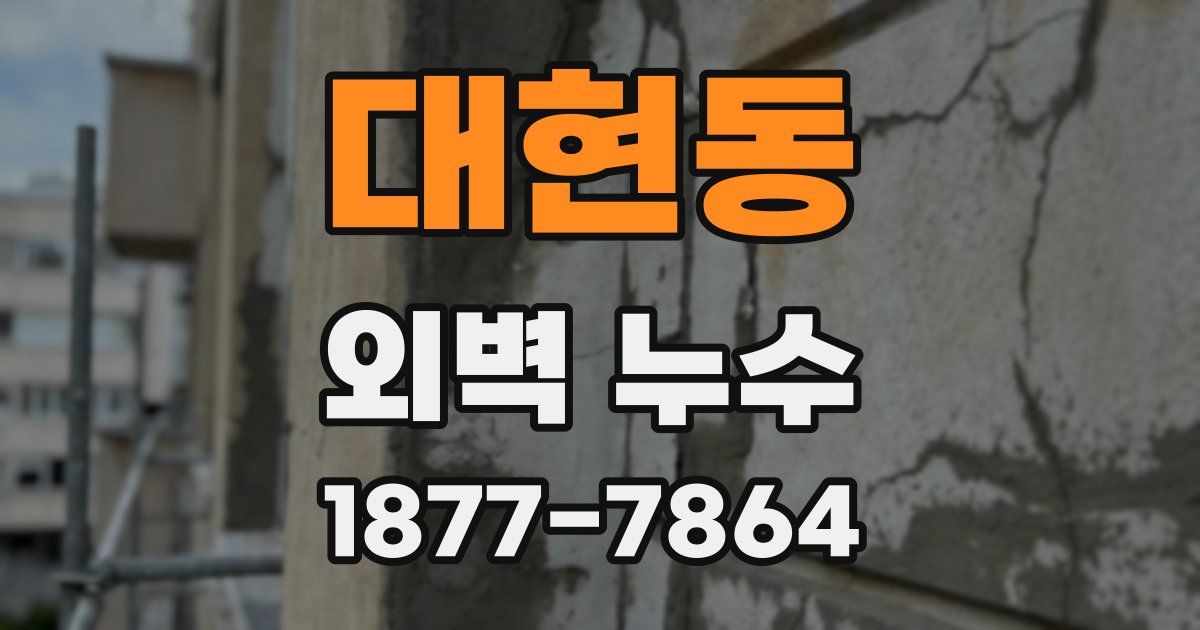 대현동 외벽 누수