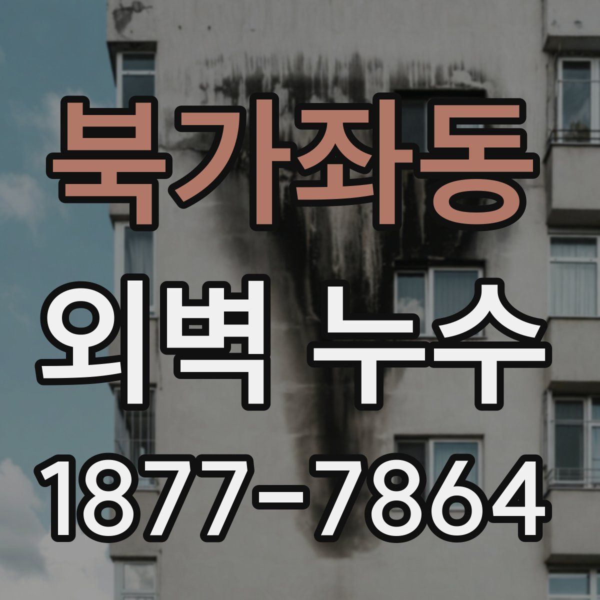 북가좌동 외벽 누수
