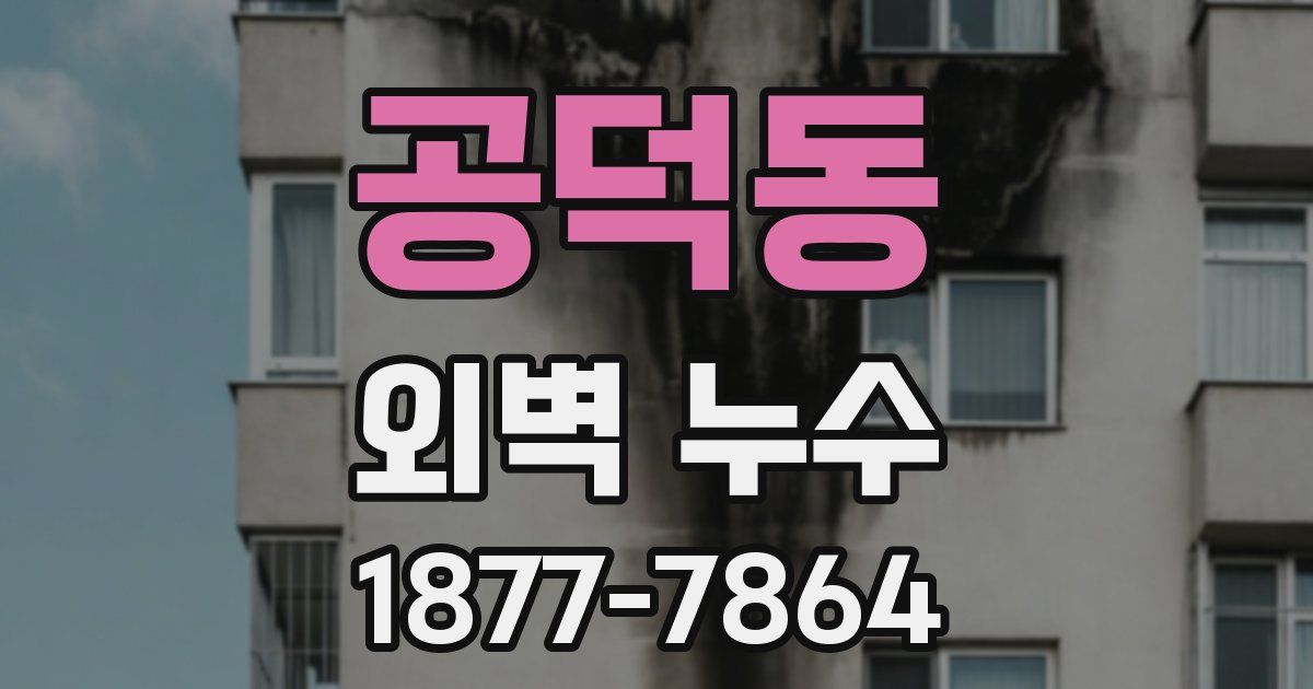 공덕동 외벽 누수