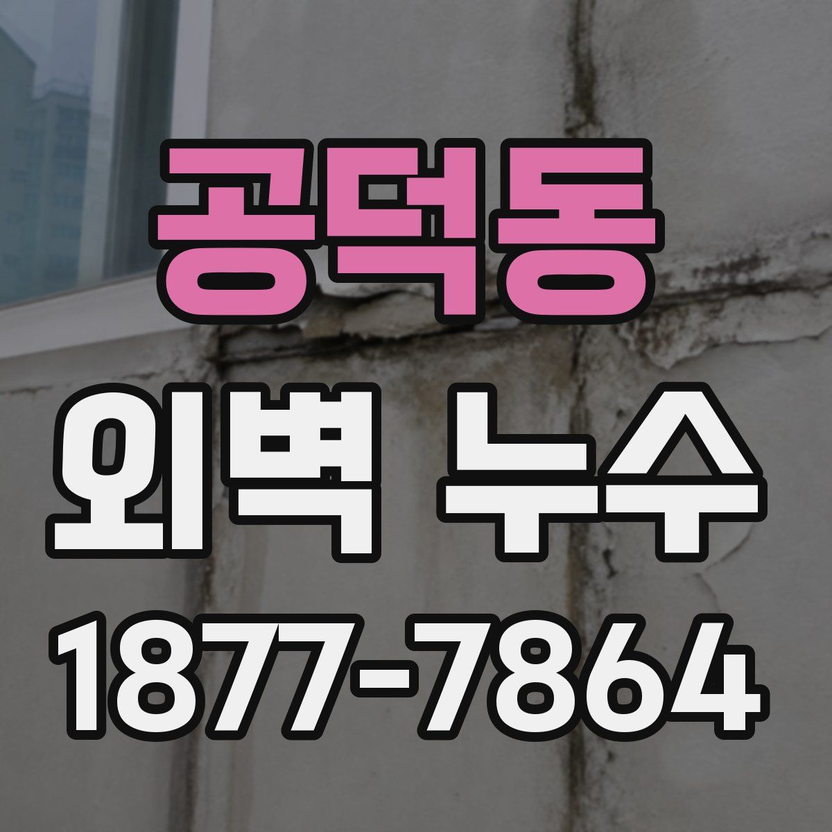 공덕동 외벽 누수