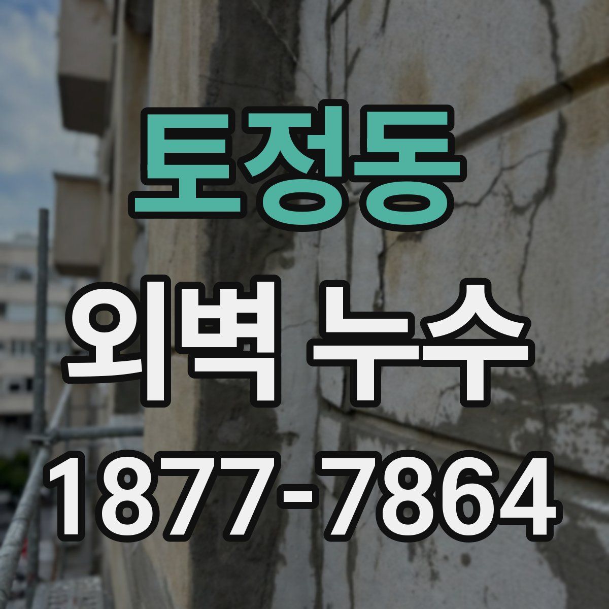 토정동 외벽 누수