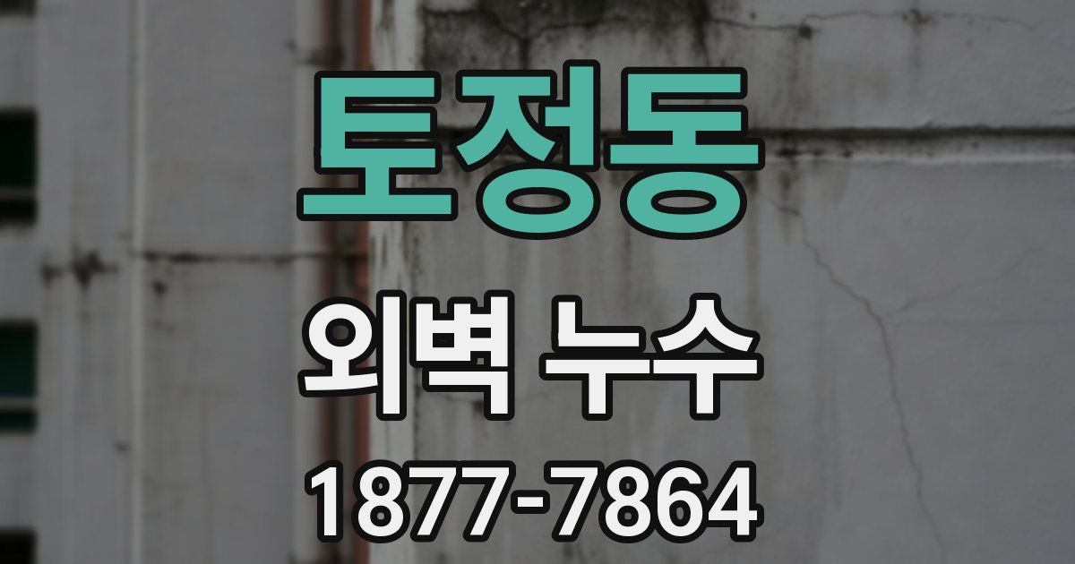 토정동 외벽 누수
