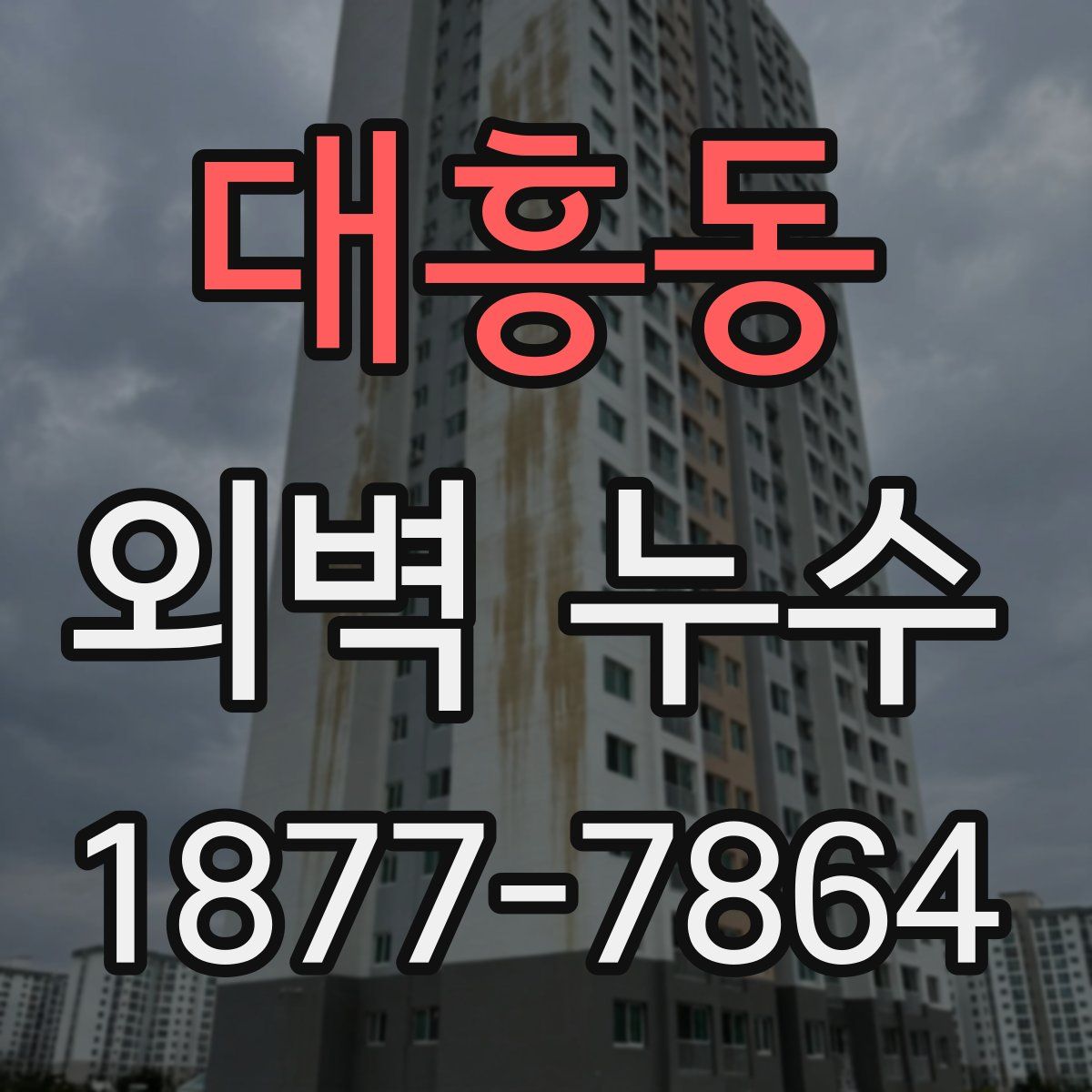대흥동 외벽 누수
