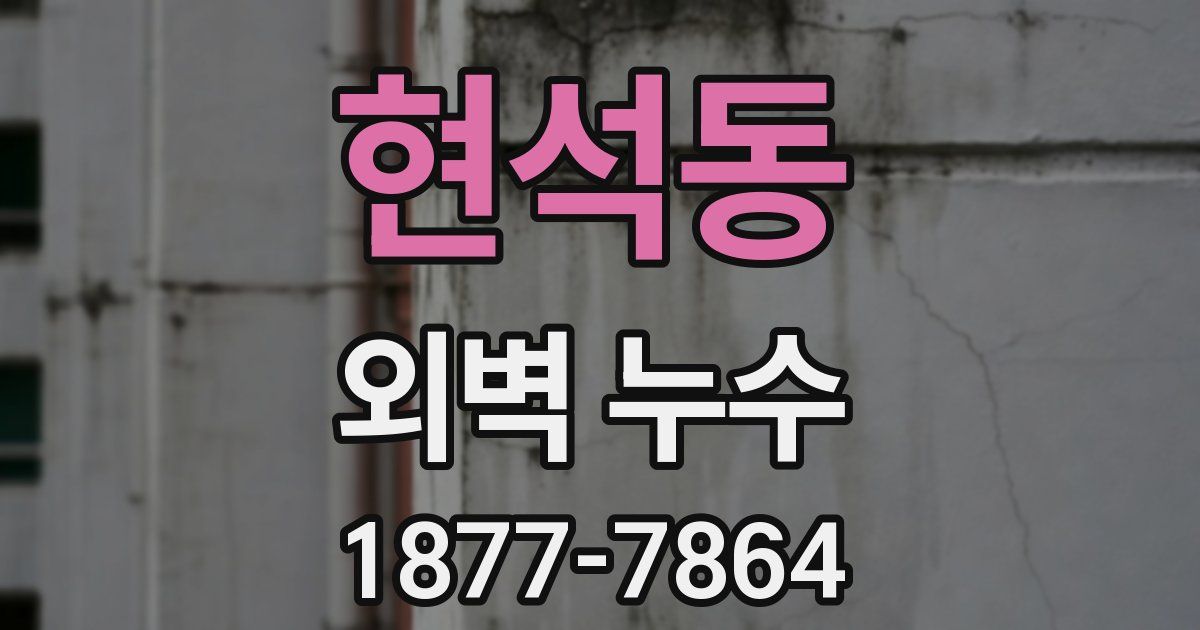 현석동 외벽 누수