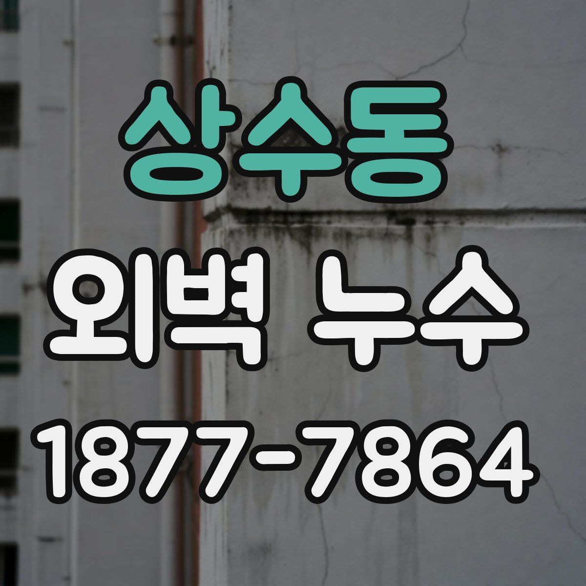 상수동 외벽 누수