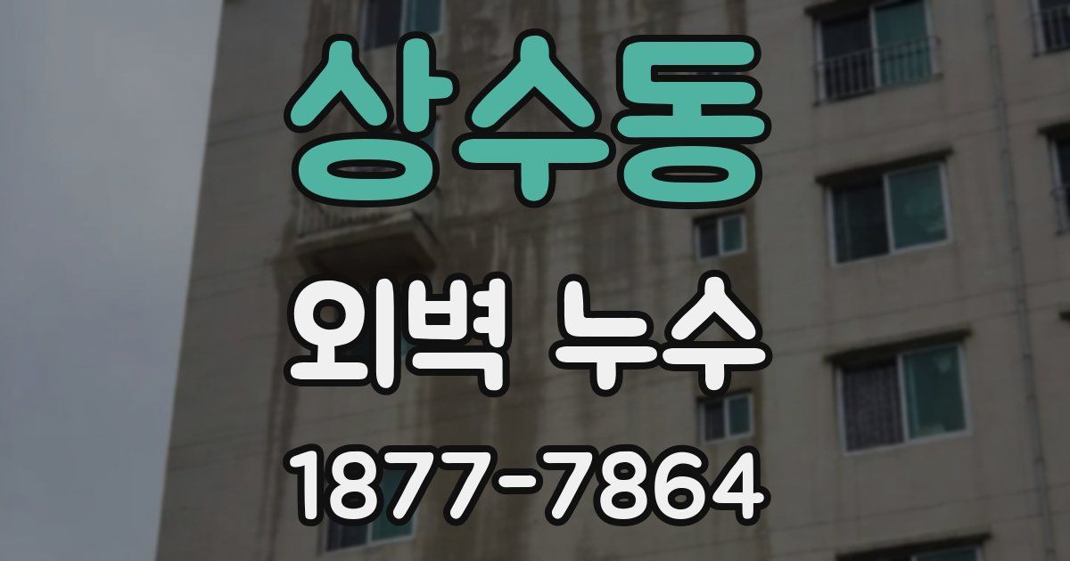 상수동 외벽 누수
