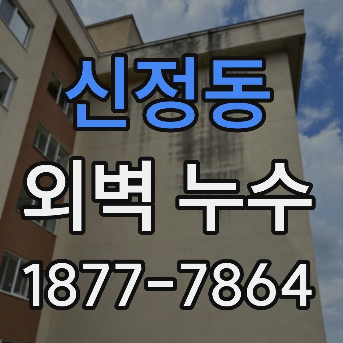 신정동 외벽 누수 보수 일정 잡기 전 알아둘 점