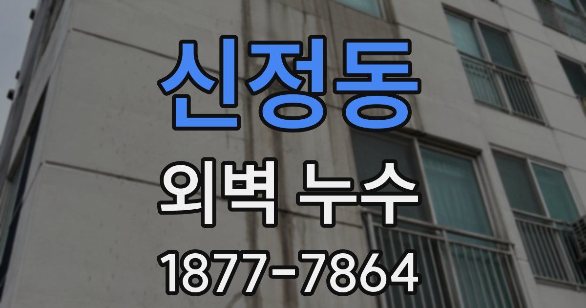 신정동 외벽 누수