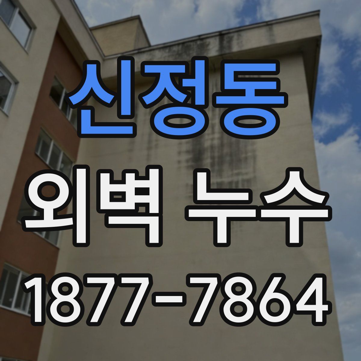 신정동 외벽 누수
