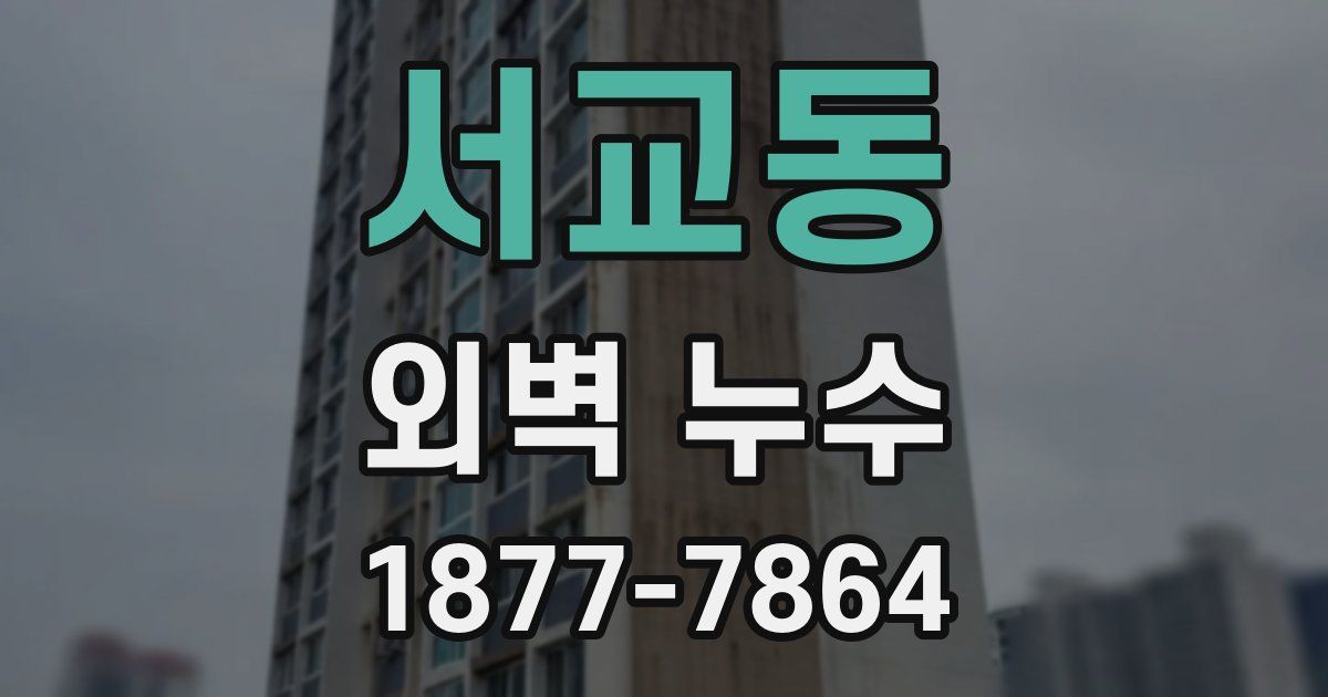 서교동 외벽 누수