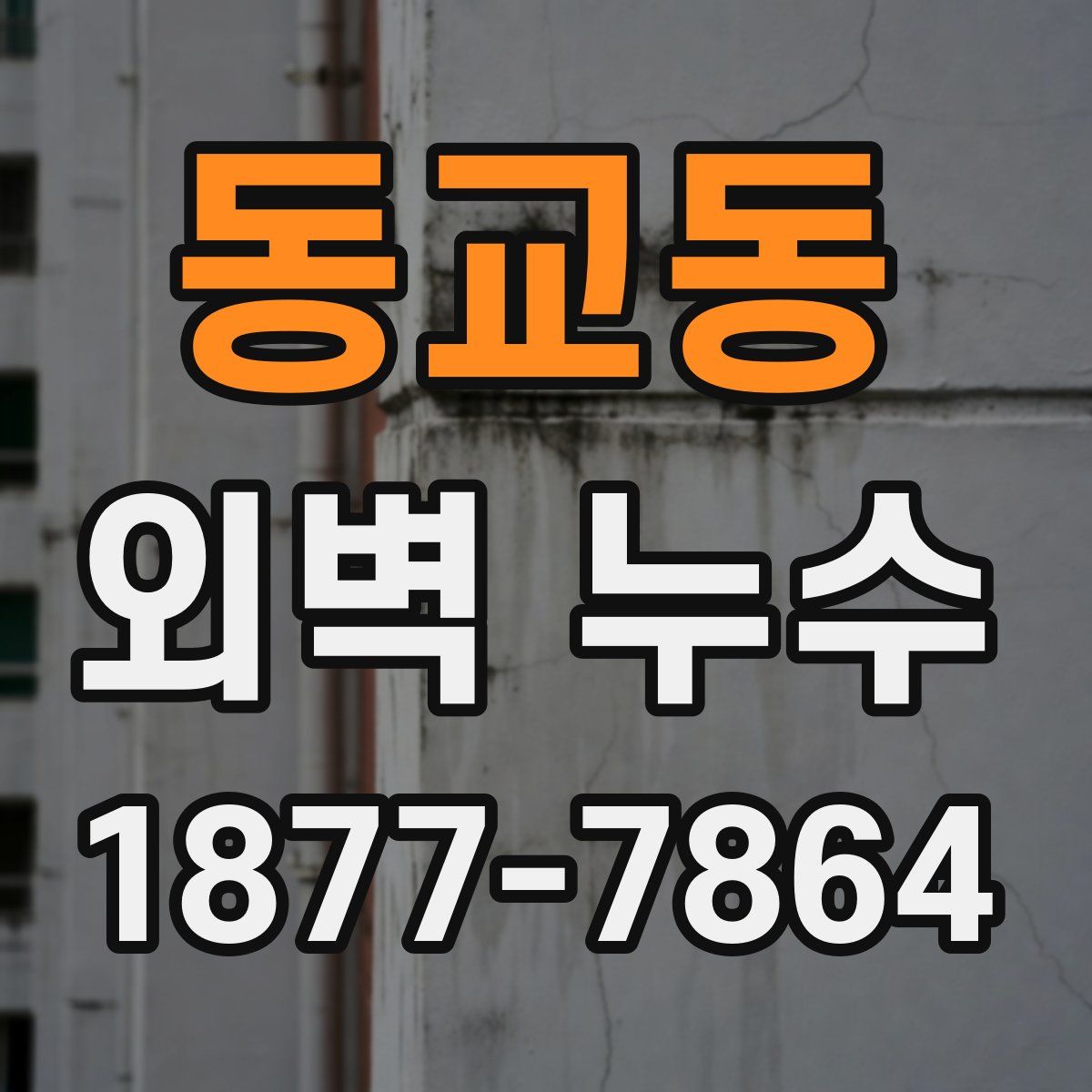 동교동 외벽 누수