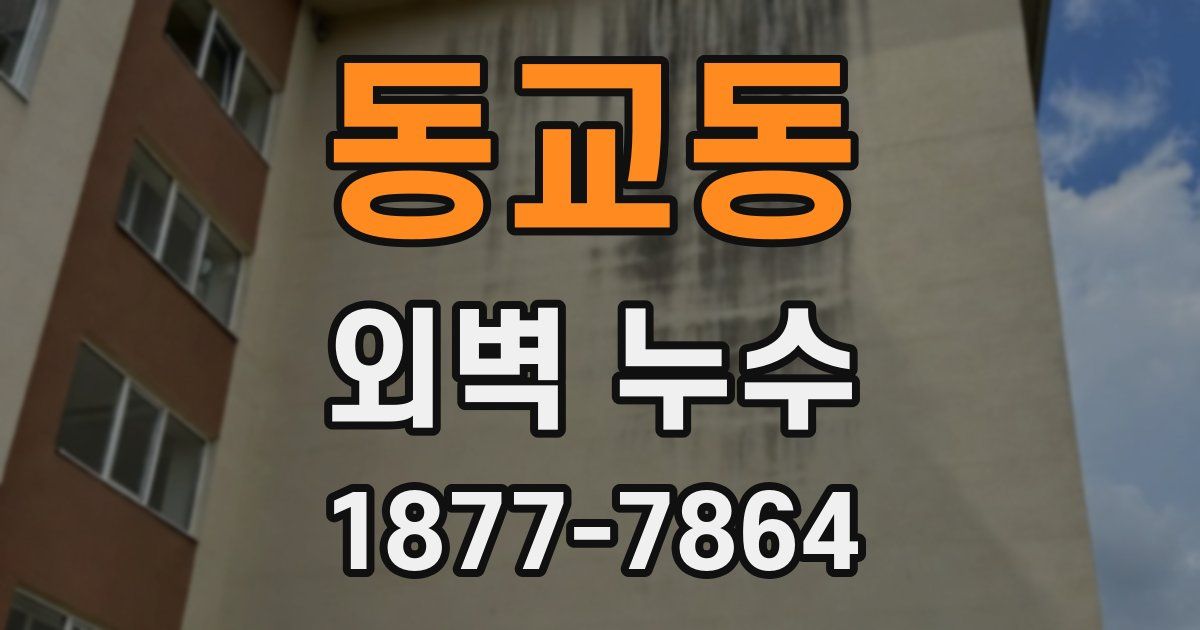 동교동 외벽 누수