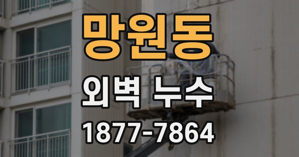 망원동 외벽 누수