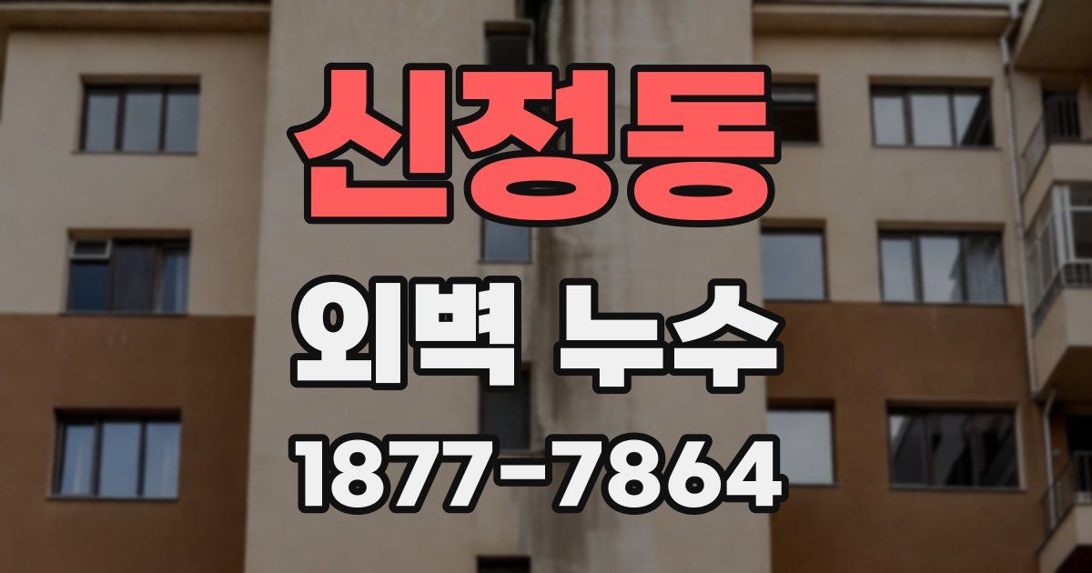 신정동 외벽 누수