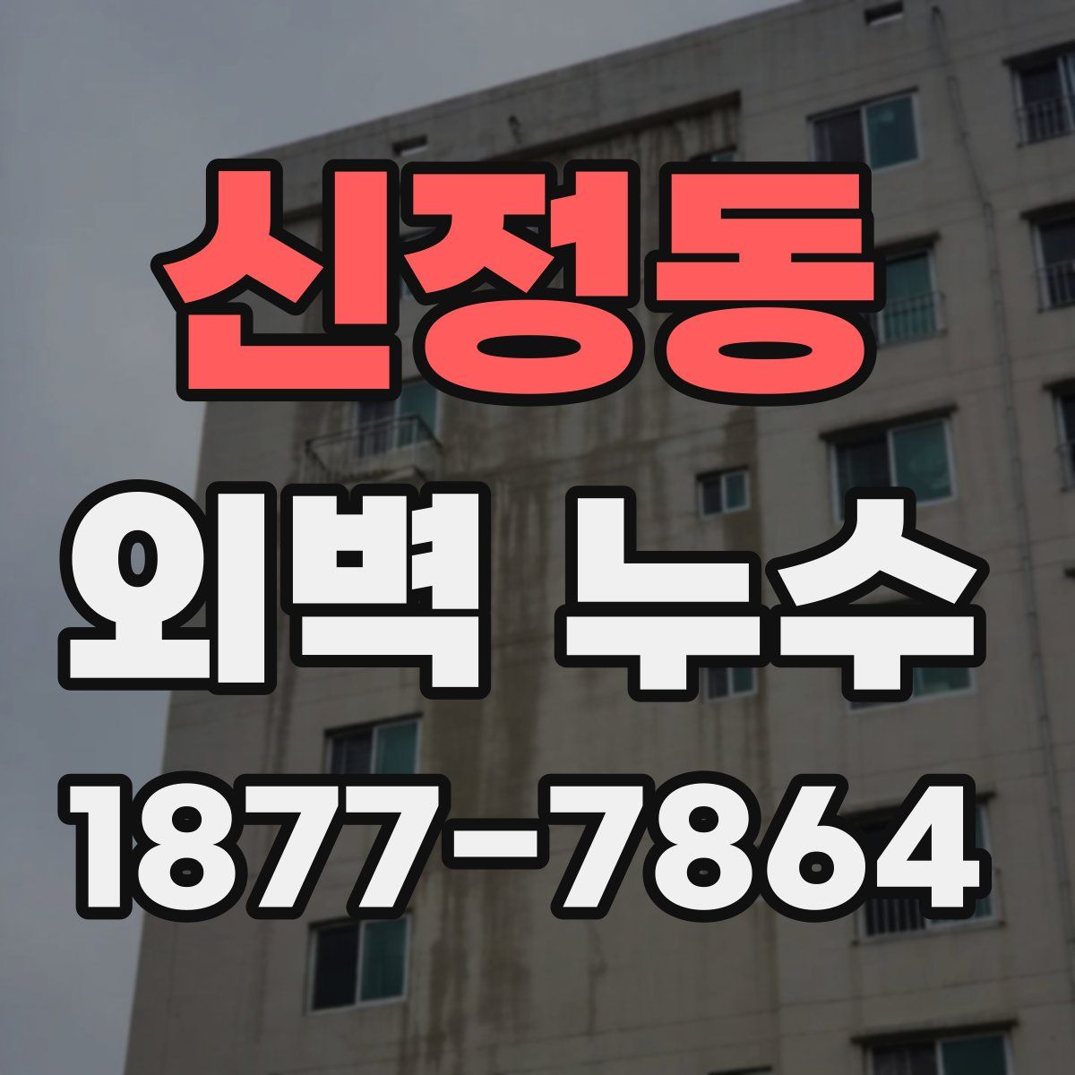 신정동 외벽 누수