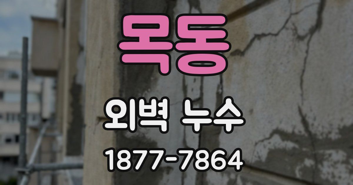 목동 외벽 누수