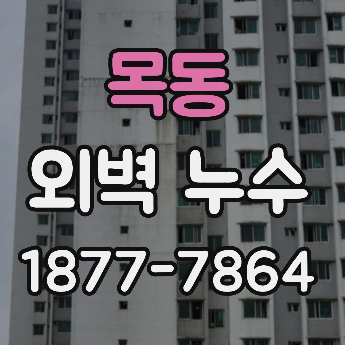 목동 외벽 누수