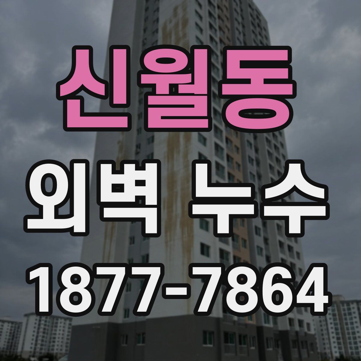 신월동 외벽 누수