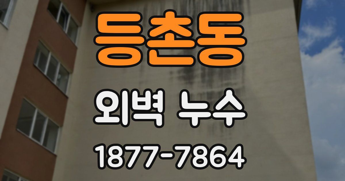 등촌동 외벽 누수