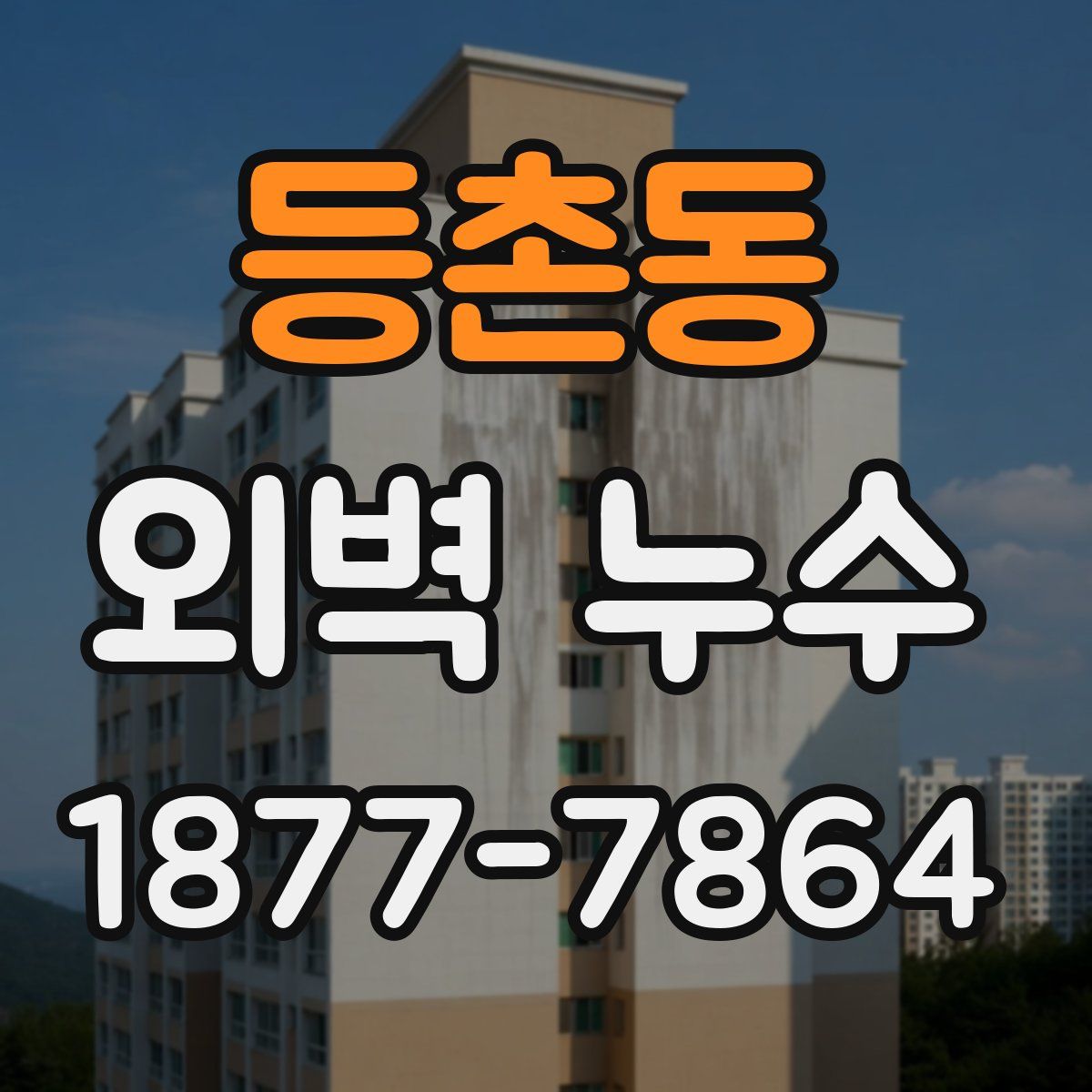 등촌동 외벽 누수