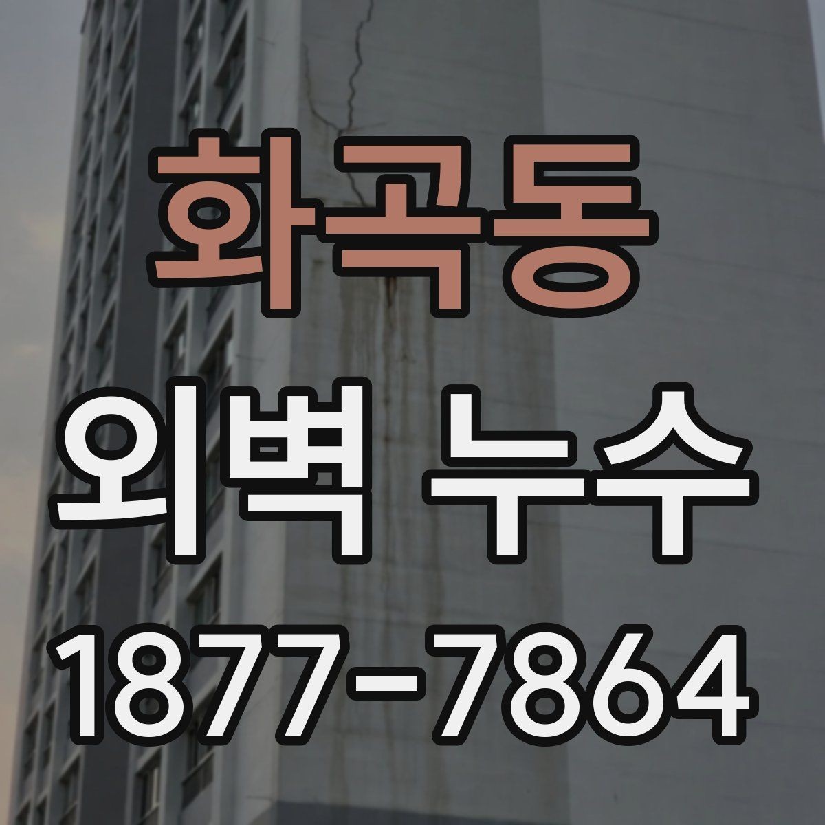 화곡동 외벽 누수 의심 부위별 점검 체크리스트