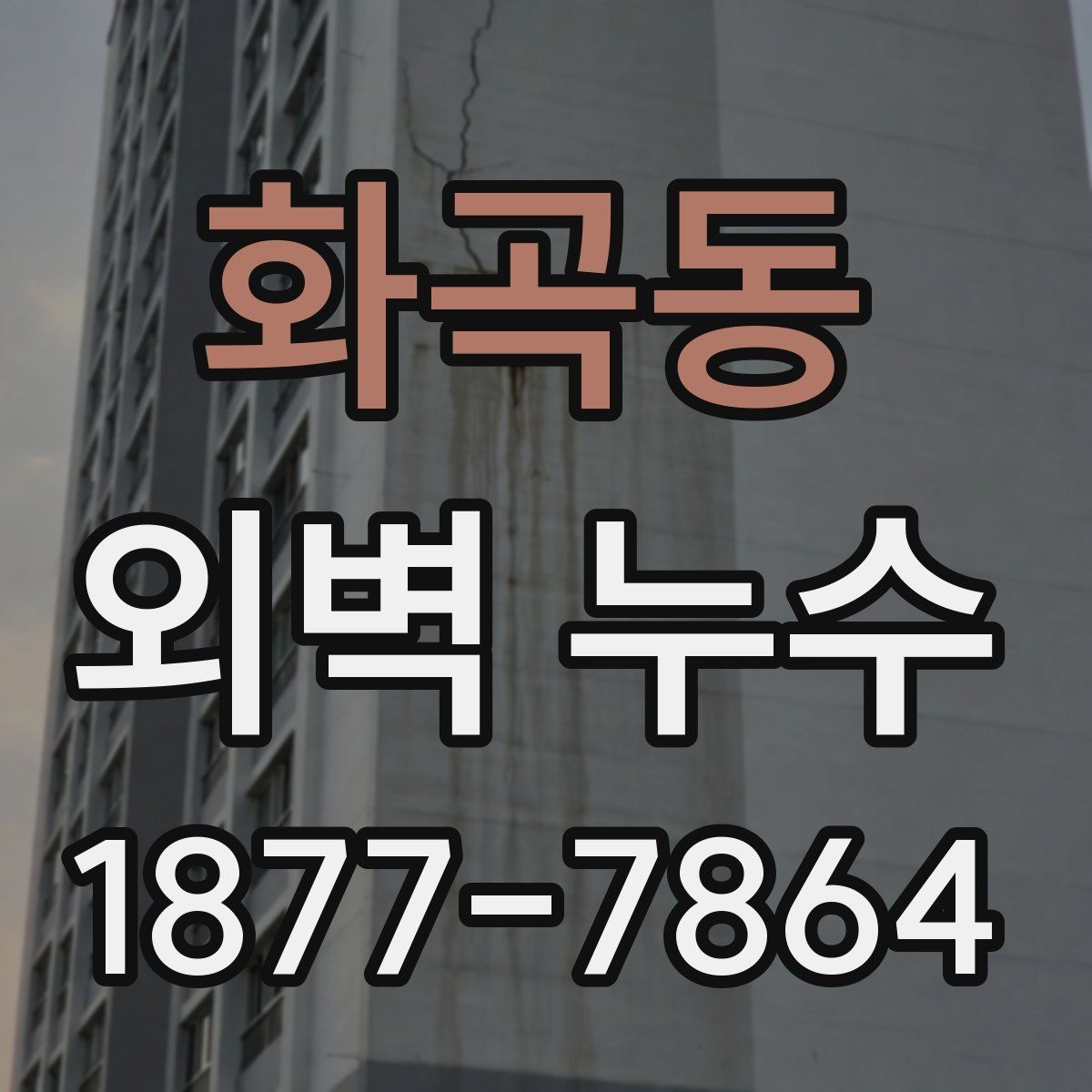 화곡동 외벽 누수