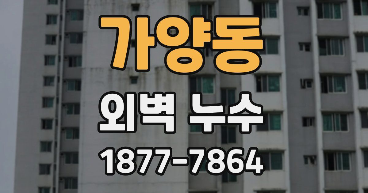 가양동 외벽 누수