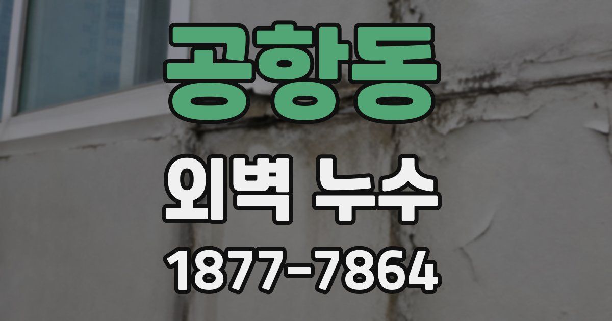 공항동 외벽 누수