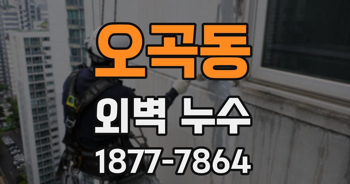 오곡동 외벽 누수