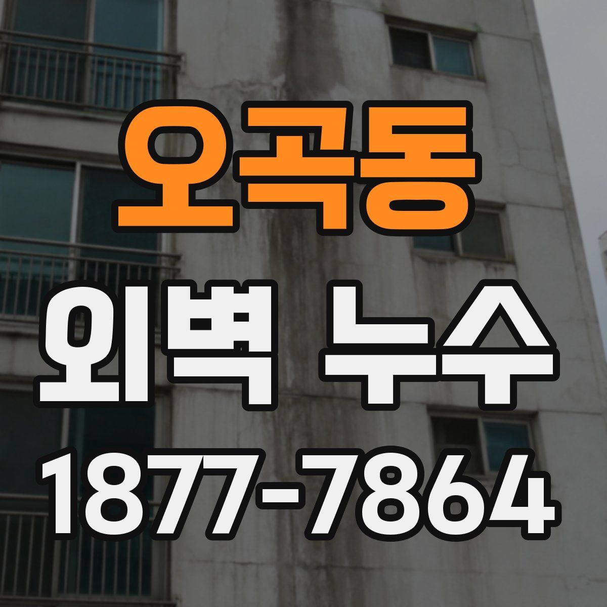오곡동 외벽 누수