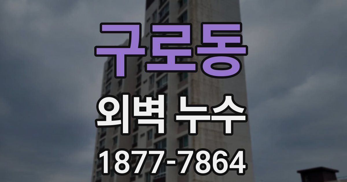 구로동 외벽 누수