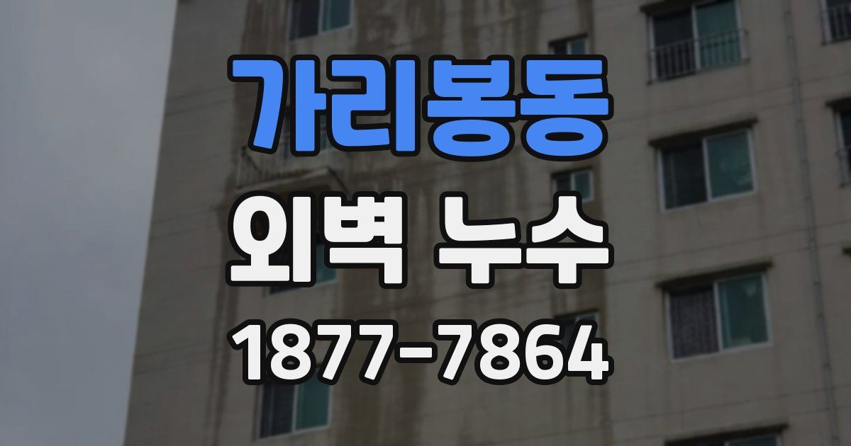 가리봉동 외벽 누수