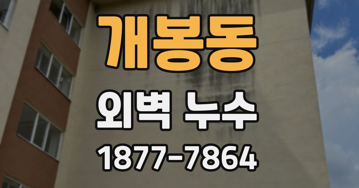 개봉동 외벽 누수