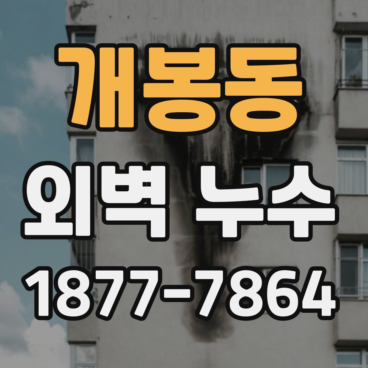개봉동 외벽 누수
