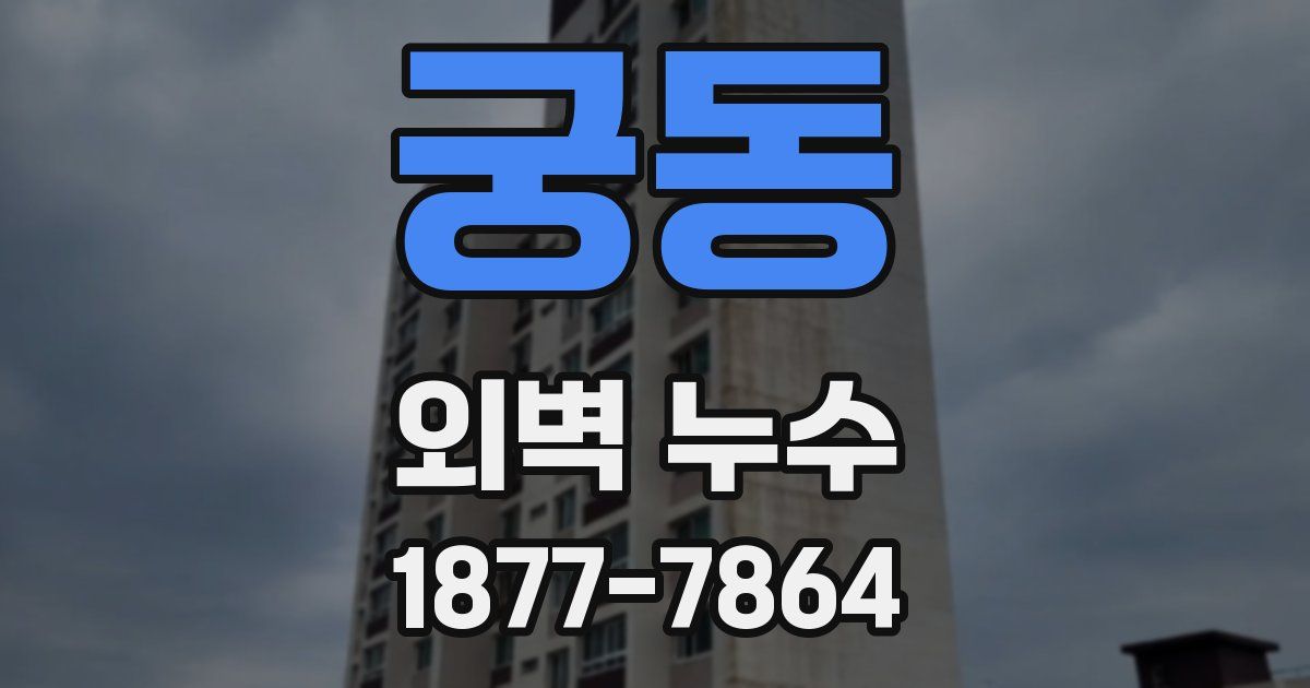 궁동 외벽 누수