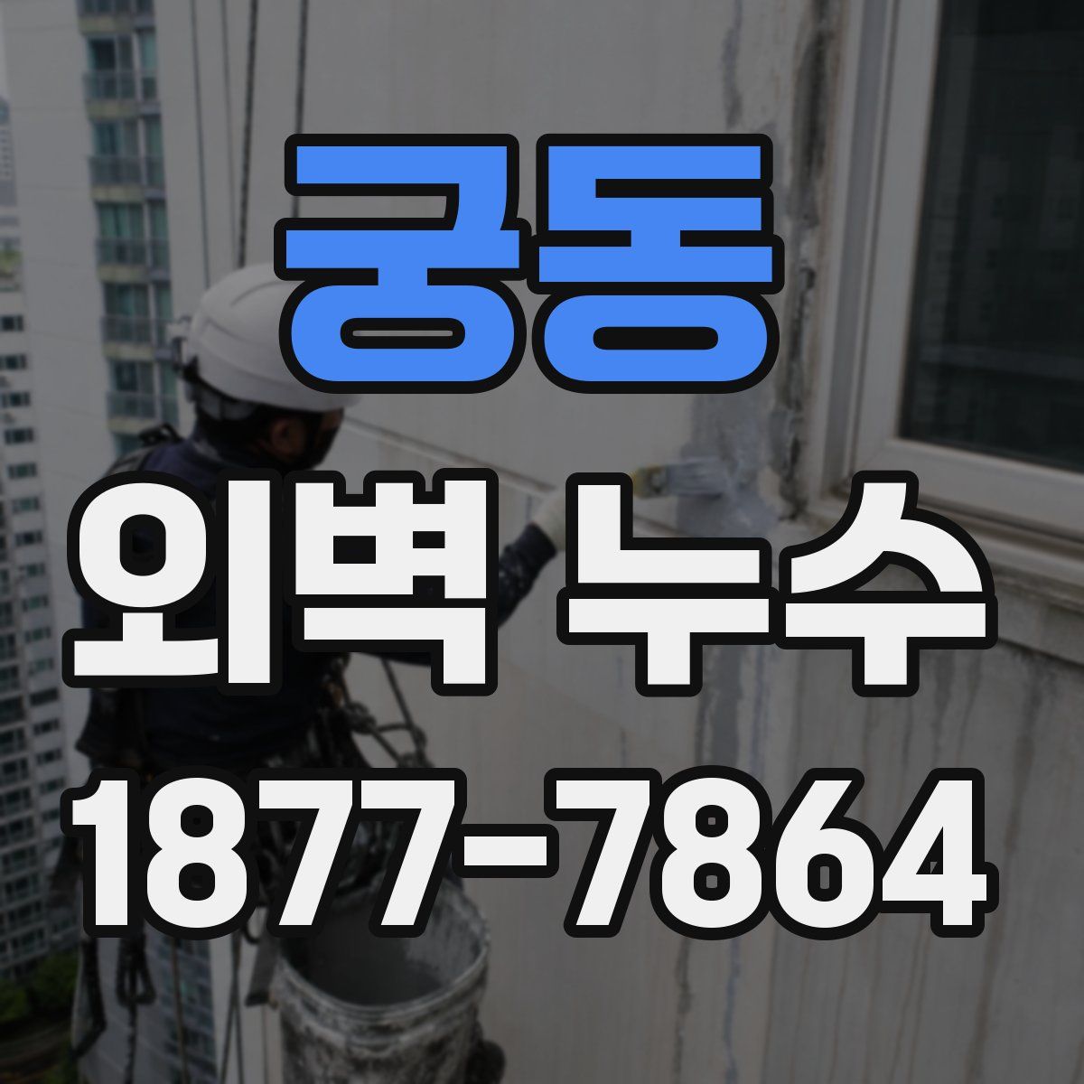 궁동 외벽 누수