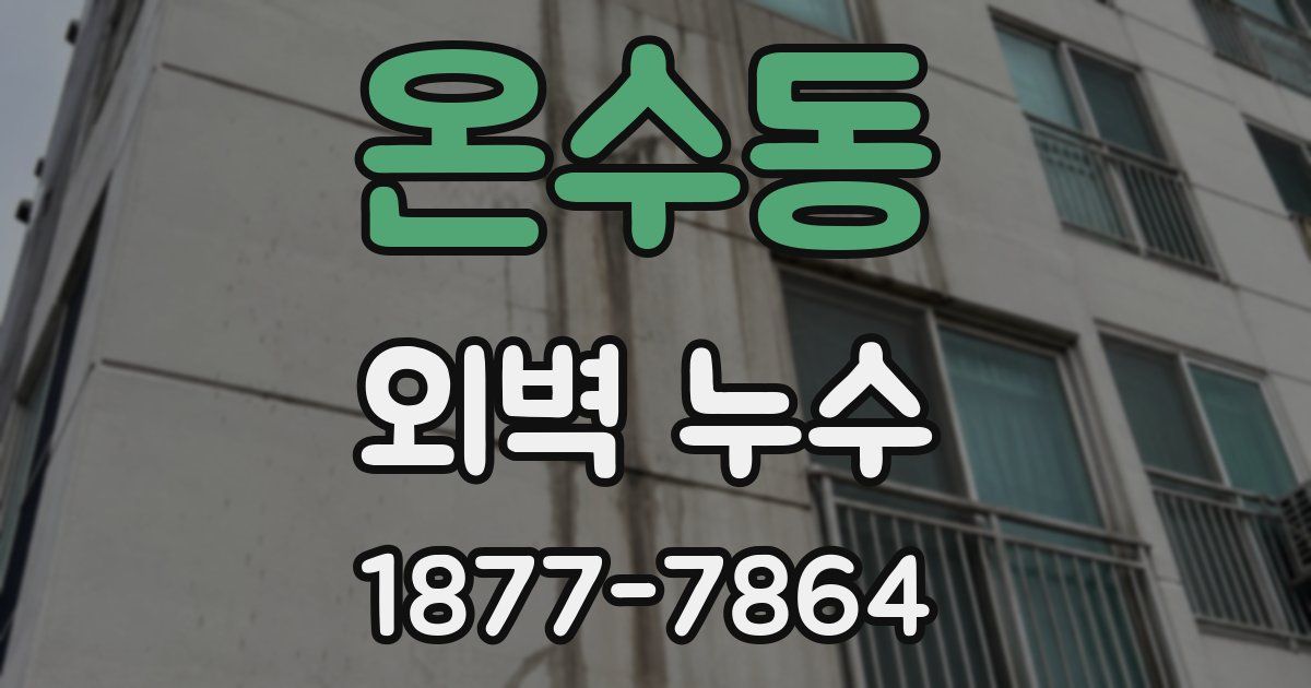 온수동 외벽 누수