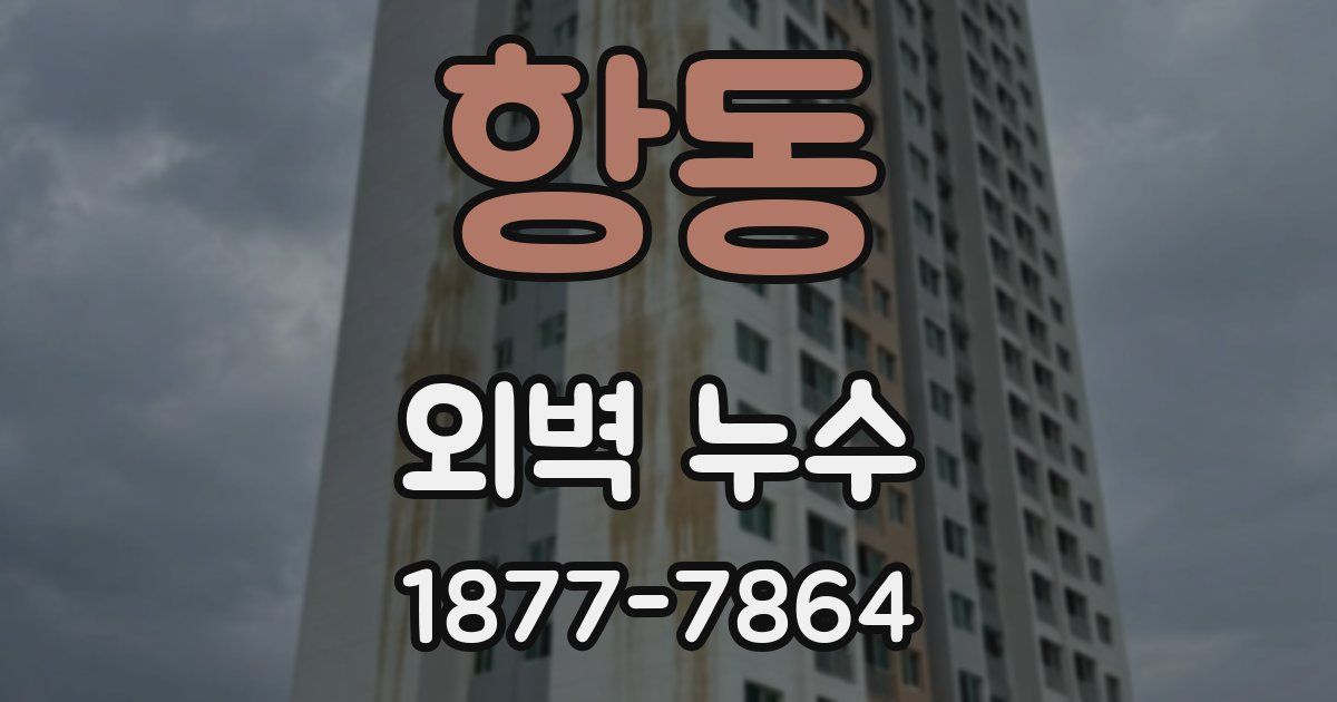 항동 외벽 누수