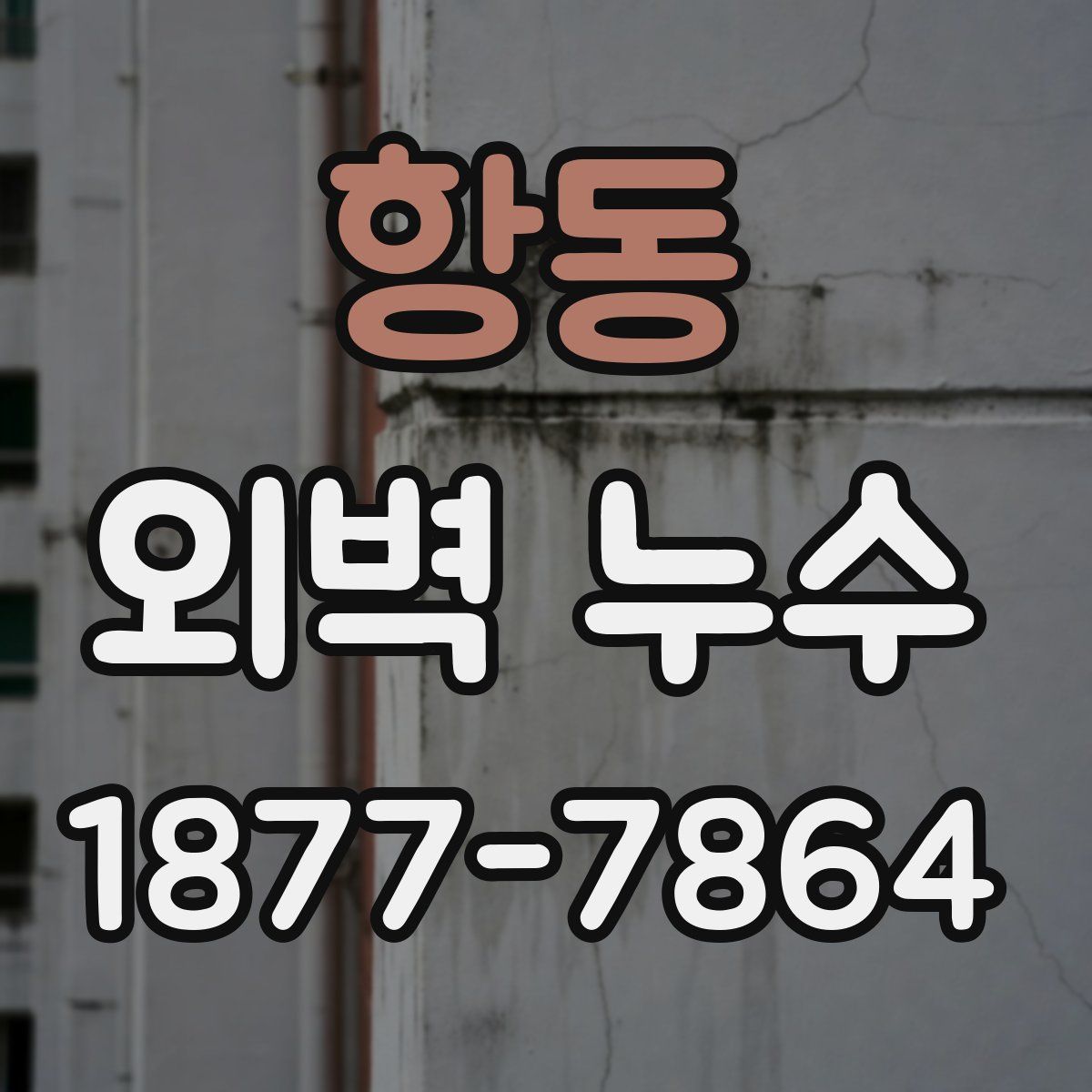 항동 외벽 누수