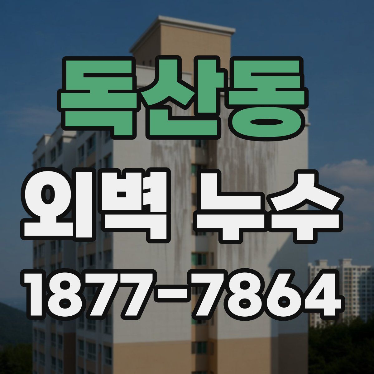 독산동 외벽 누수