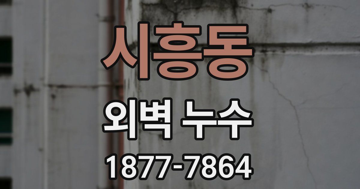 시흥동 외벽 누수