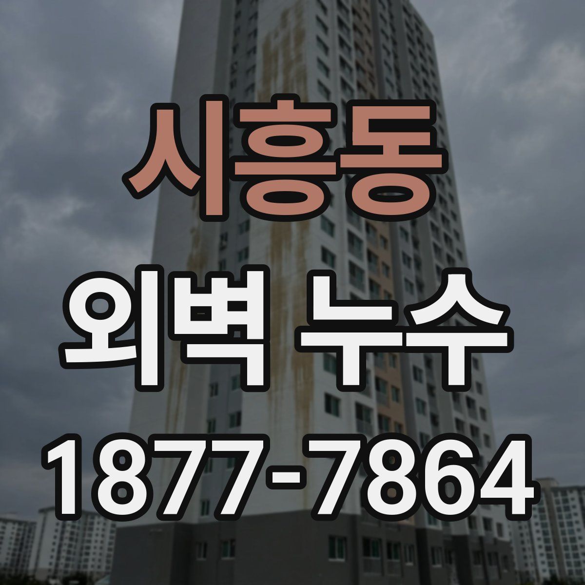 시흥동 외벽 누수